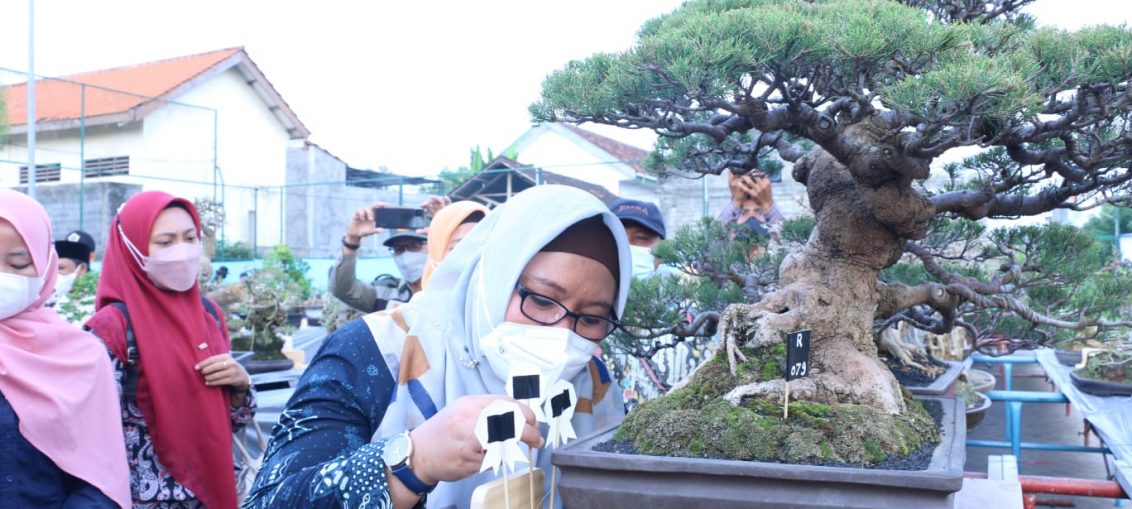 Wakil Bupati Gresik Aminatun Habibah saat melakukan kunjungan ke kampung bonsai desa petung.