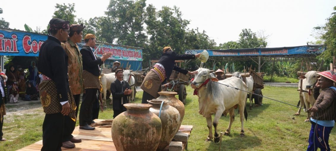 pengelola Wisata Alam Gosari (Wagos) di Kecamatan Ujungpangkah Kabupaten Gresik menggelar festival budaya