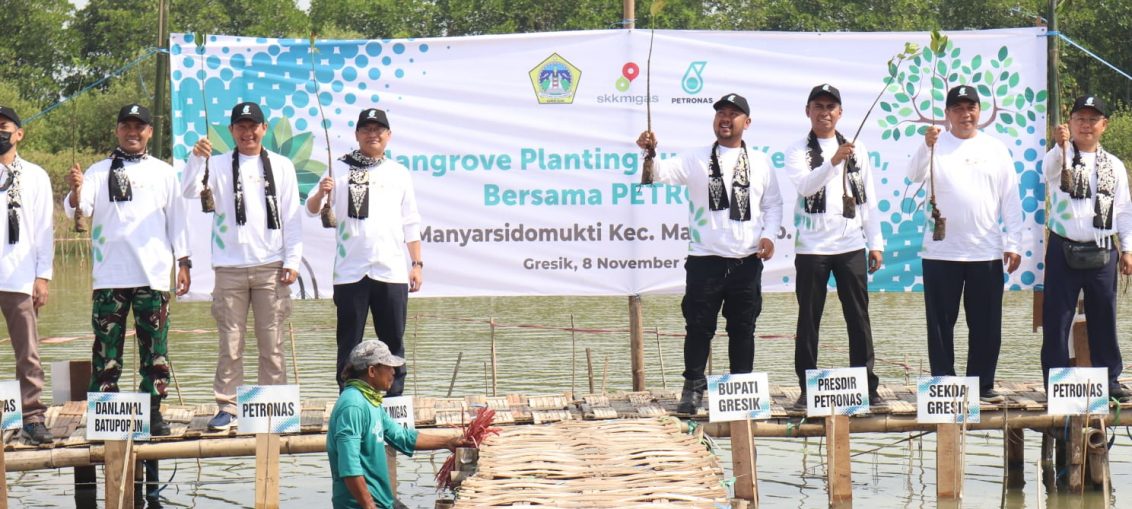 Pemerintah Kabupaten Gresik bersama Petronas dan SKK Migas, melakukan penanaman 10.000 bibit mangrove, di kawasan Kalimireng Desa Manyar Sidomukti Kecamatan Manyar, Selasa (8/11/2022) pagi.